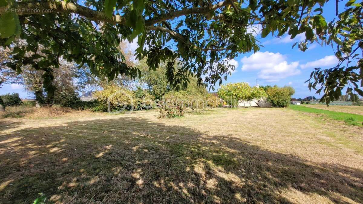 Maison à MONTFARVILLE