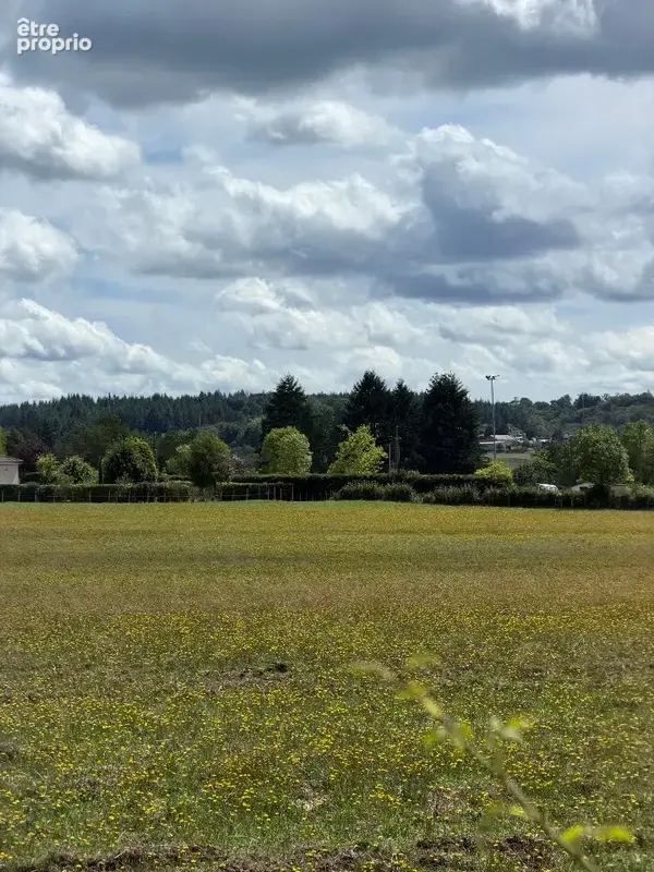 Terrain 972 m² à vendre à Ytrac (15130) - photo 2