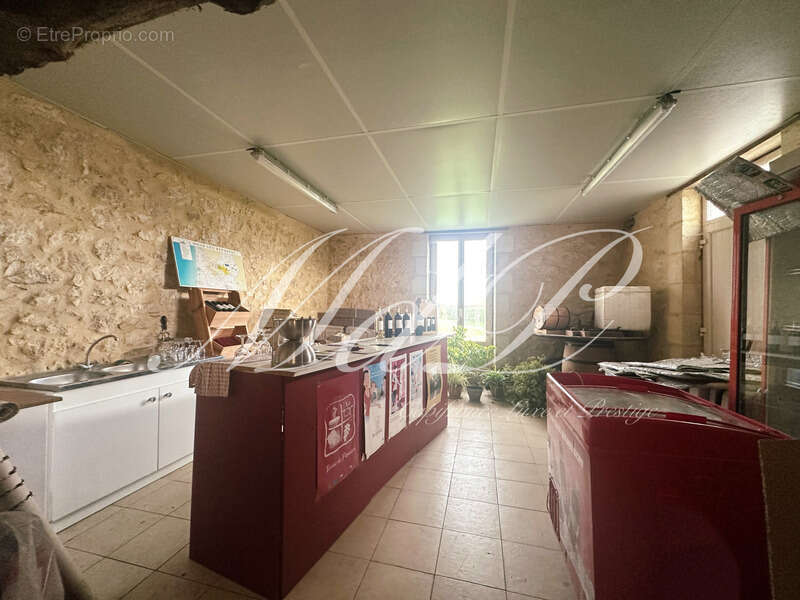 Maison à vendre 10 pièces bonneville et saint avit de f (24) - photo 33