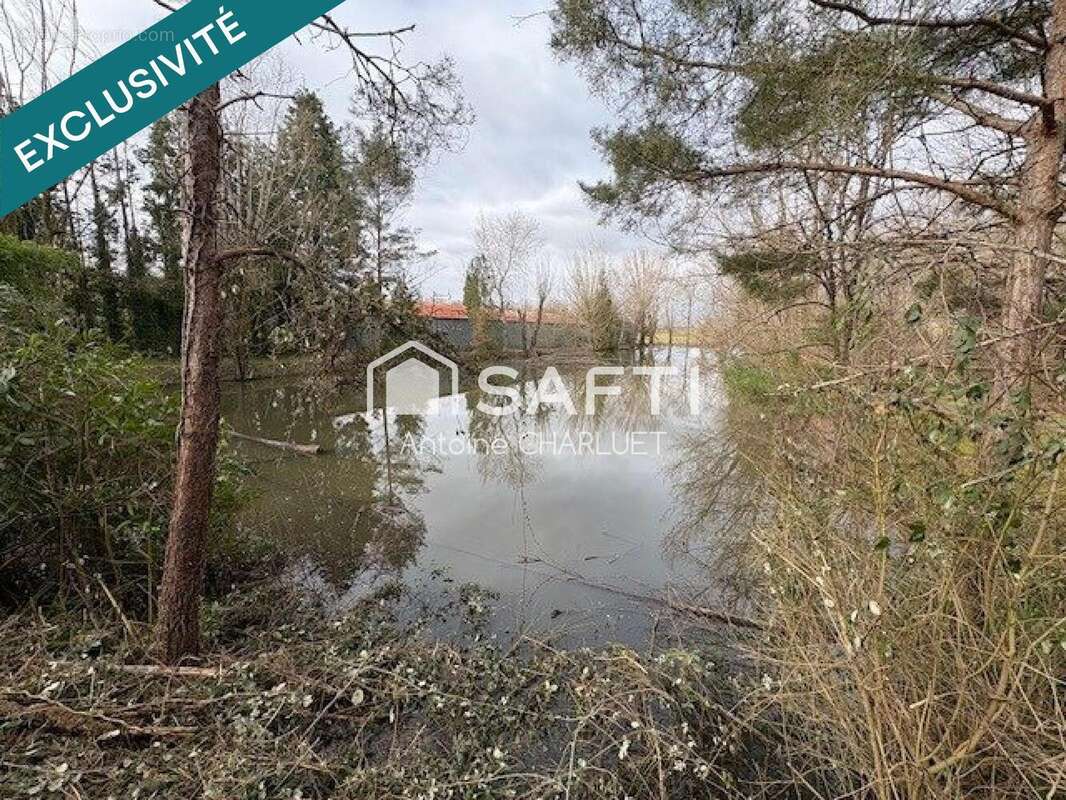 Photo 5 - Terrain à BUZANCAIS