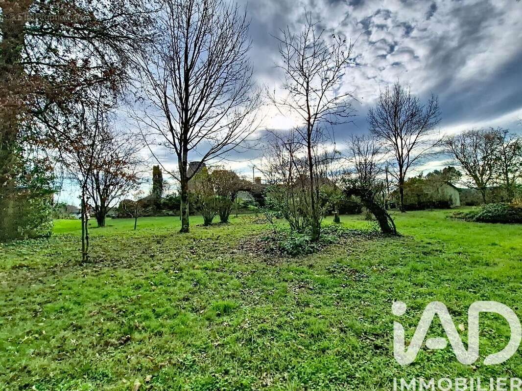 Photo 5 - Maison à BEAULIEU-SUR-LAYON