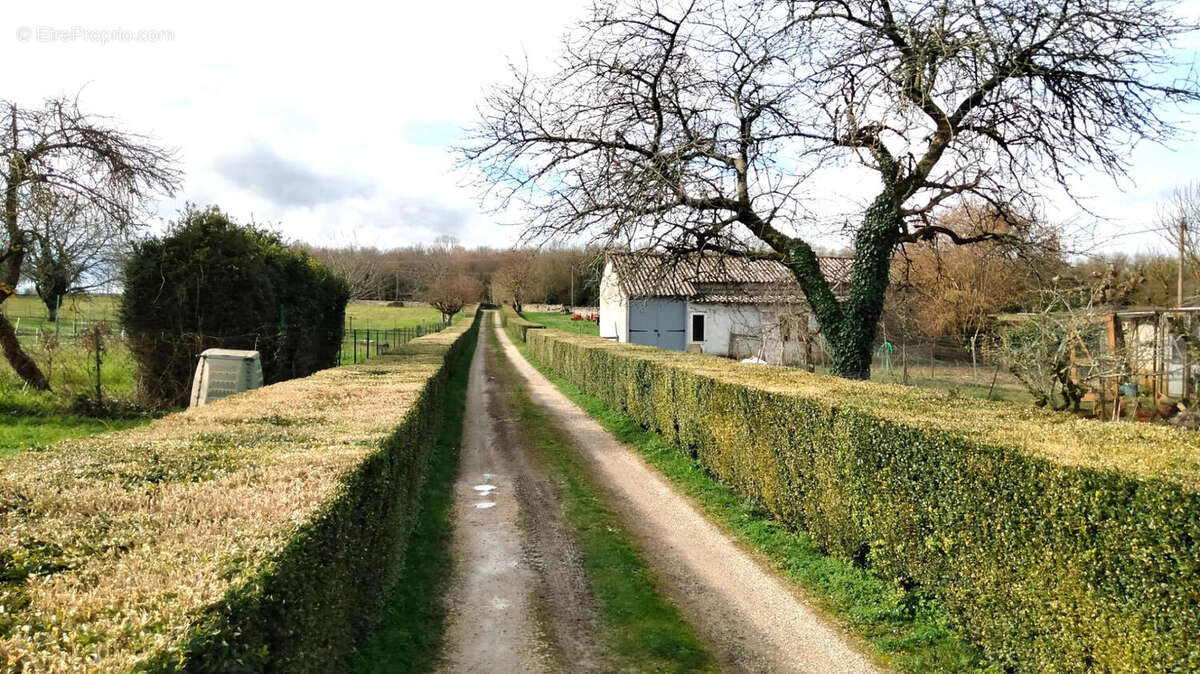 ALLEE - Maison à BARRO