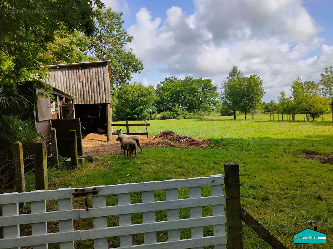 Maison à BOIS-DE-CENE