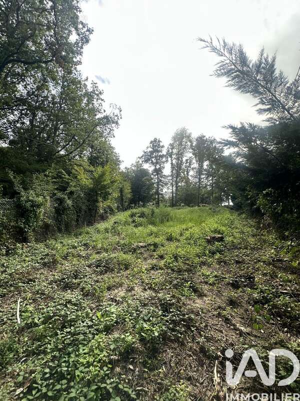 Photo 2 - Terrain à DOURDAN