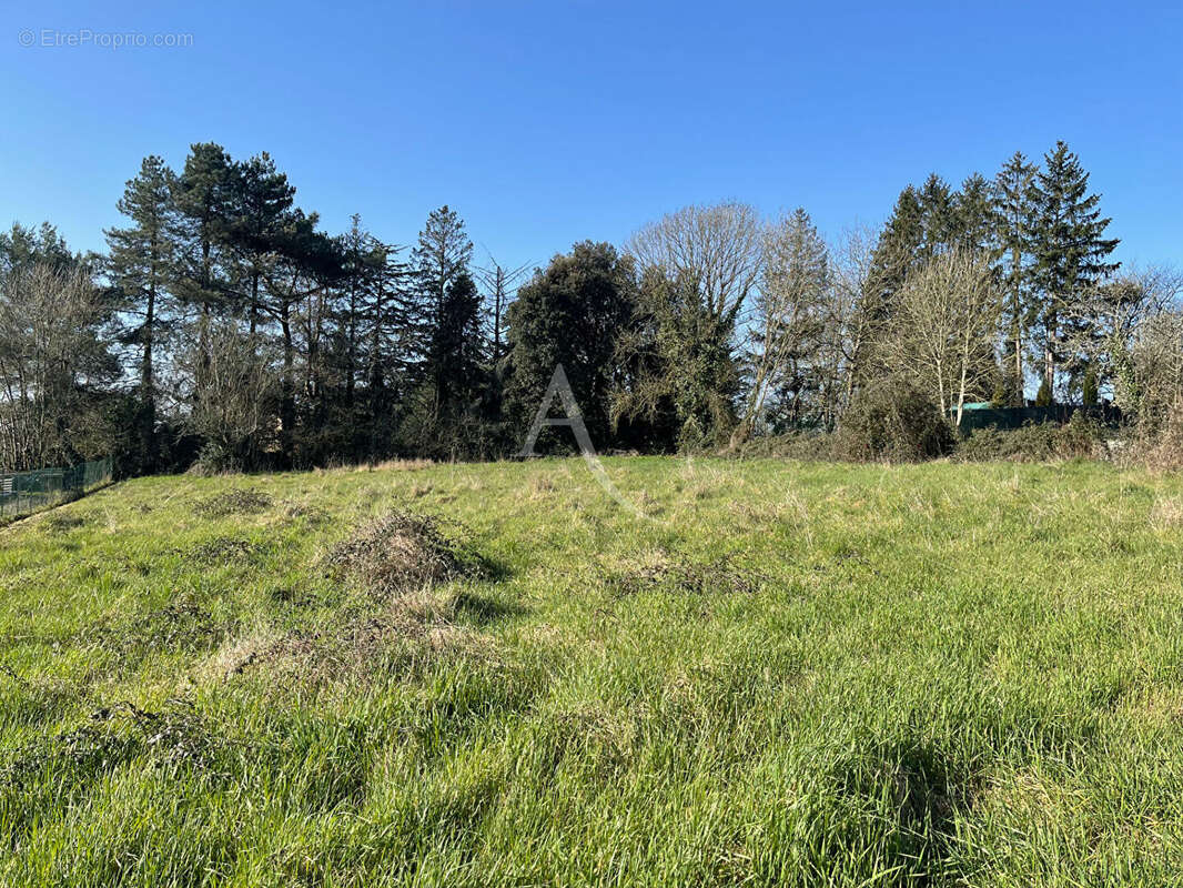 Terrain à MERVENT