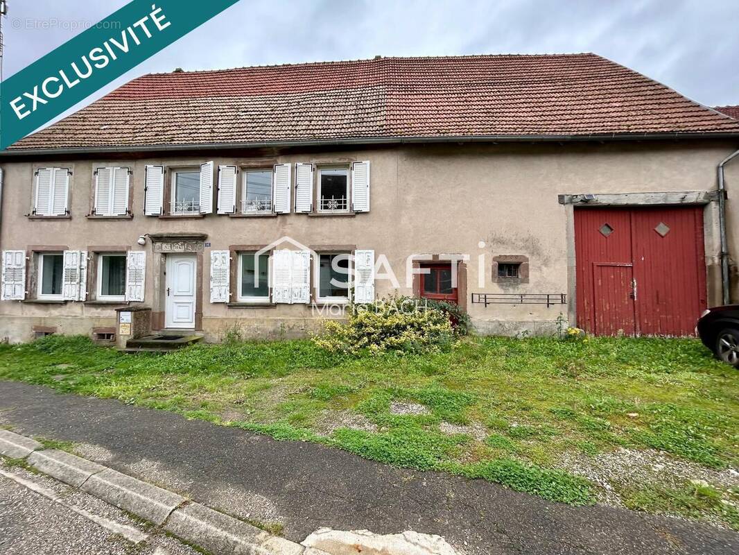 Photo 1 - Appartement à HIRSCHLAND