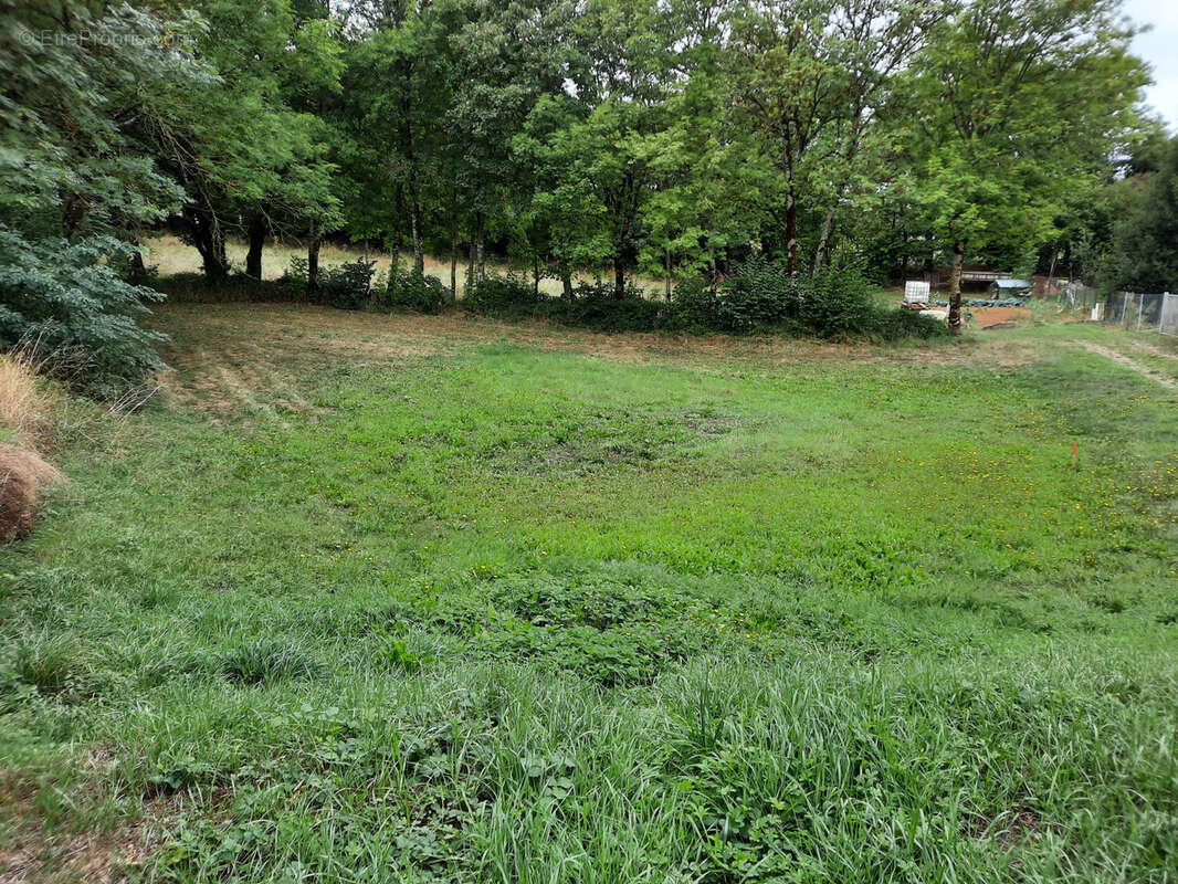 Terrain à VIALA-DU-PAS-DE-JAUX