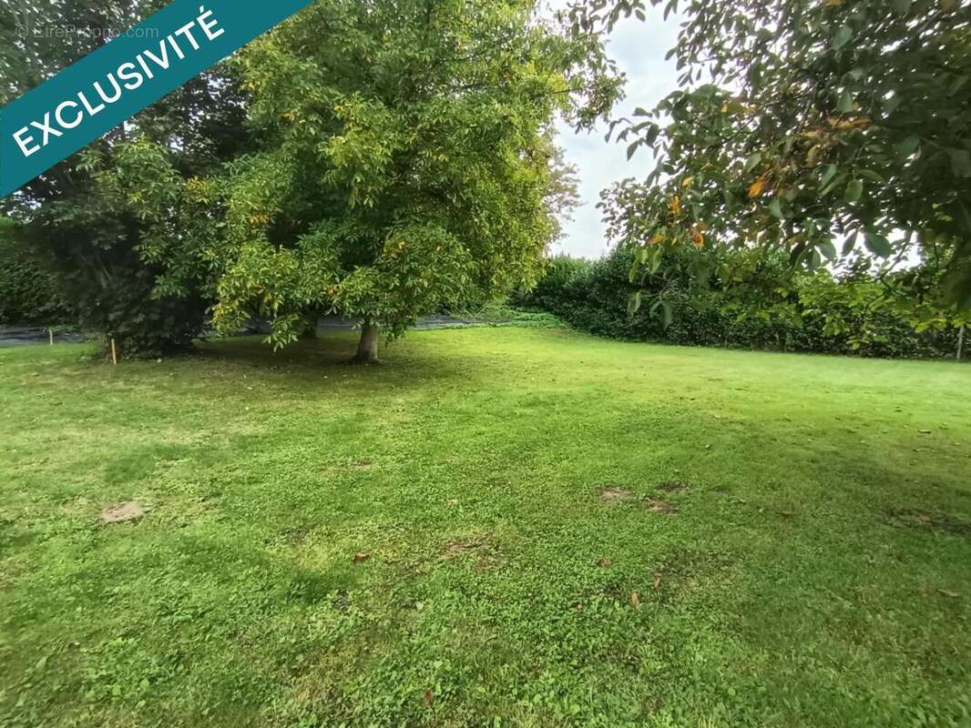 Photo 3 - Terrain à MARESQUEL-ECQUEMICOURT