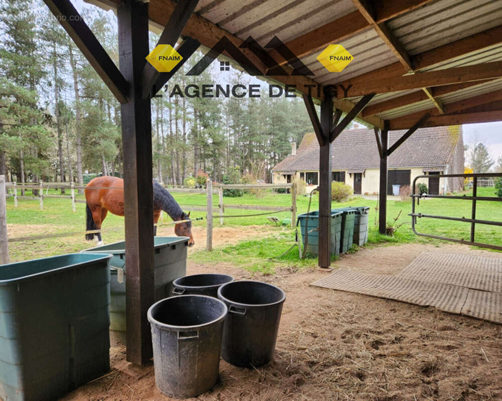 Maison à NEUVY-EN-SULLIAS