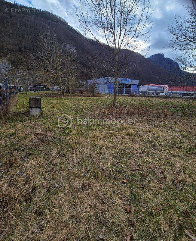 Terrain commercial et habitable - photo 3