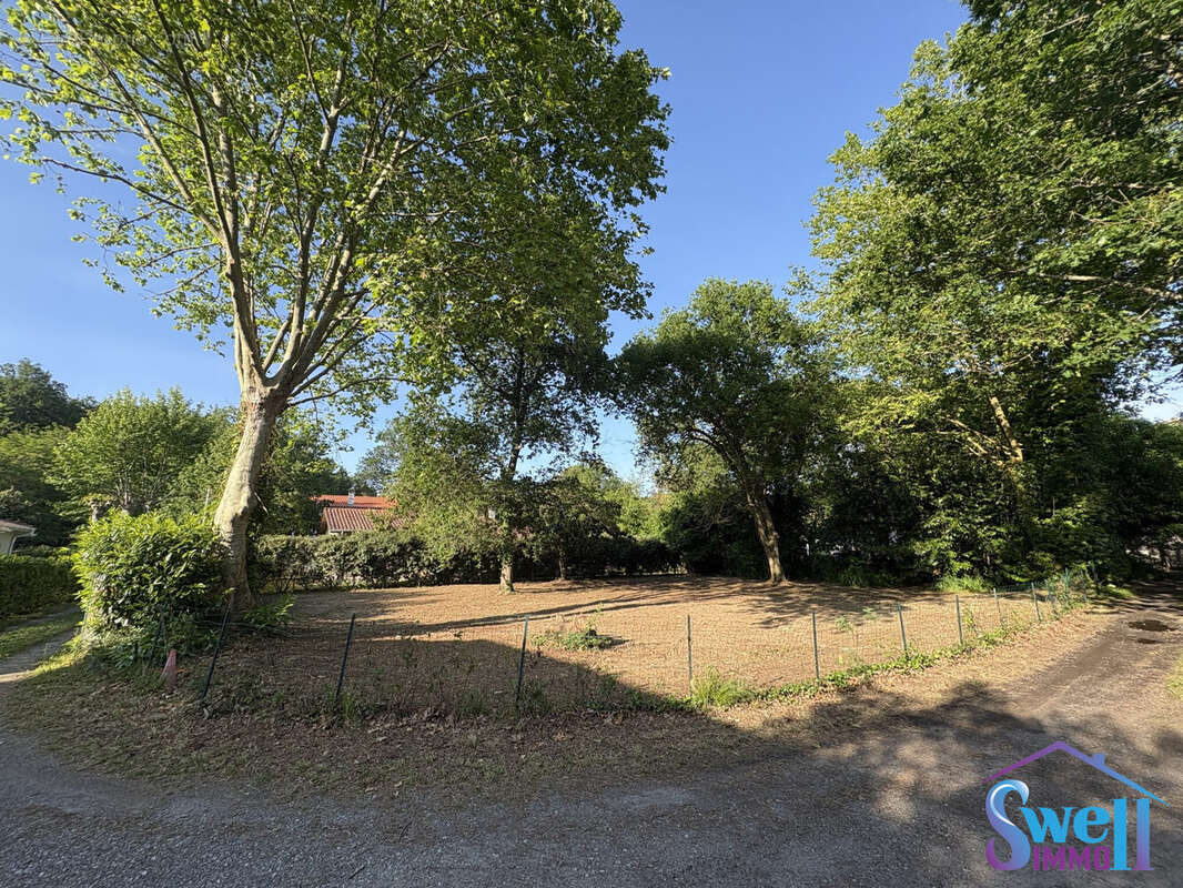 Terrain à MESSANGES