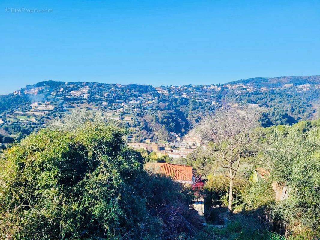 Terrain à SAINT-ANDRE-DE-LA-ROCHE