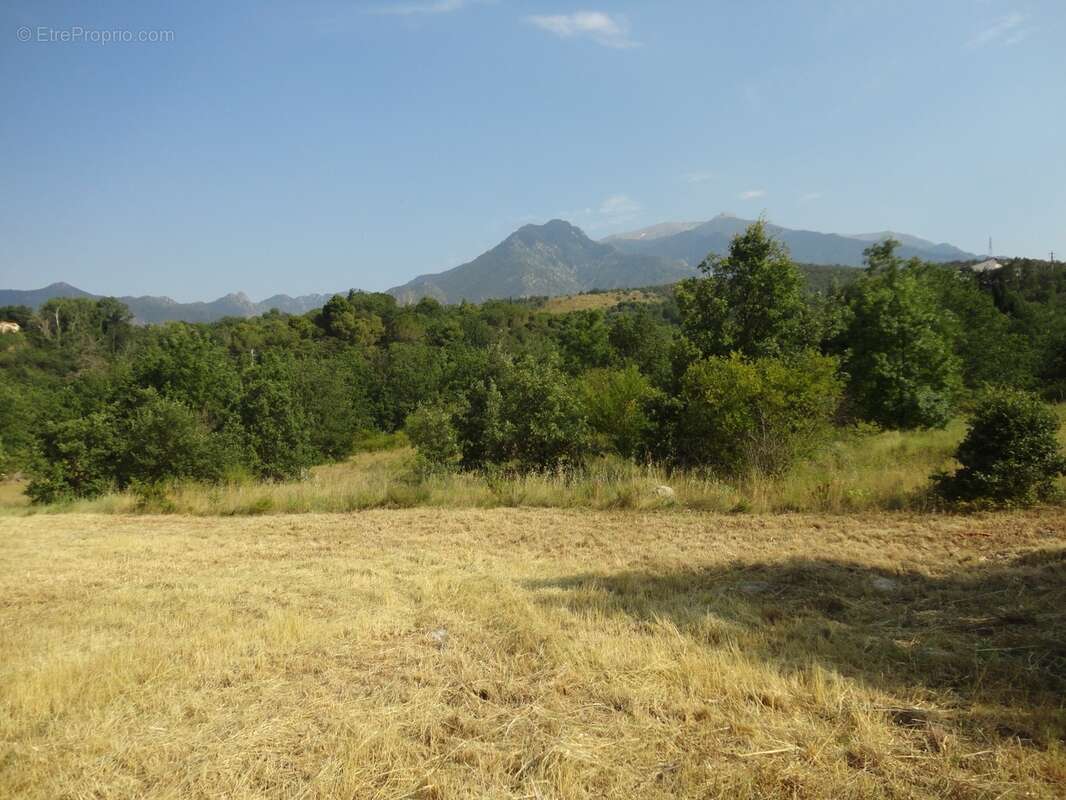 Dpt Pyrénées Orientales (66), à vendre PRADES Terrain constructible 421 m², 3 faces, libre constructeur - photo 14