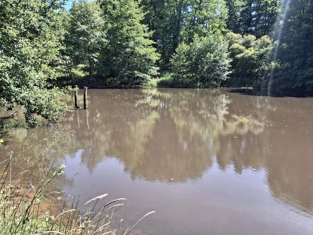 Magnifique exploitation agricole de 55 ha comprenant 2 maisons et plusieurs dépendances - photo 19