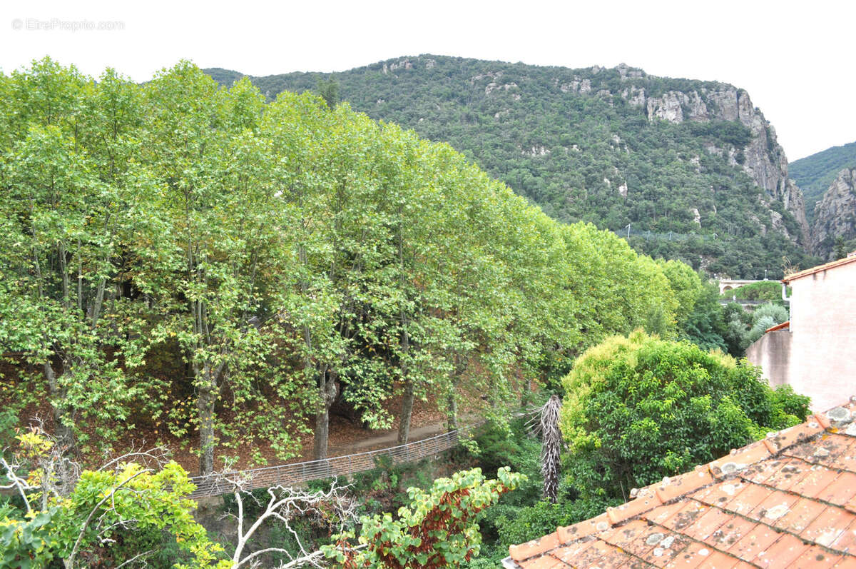 Amélie les Bains~Au bord du Mondony et à deux pas des thermes, cette ancienne maison bourgeoise du 19ème ... - photo 9