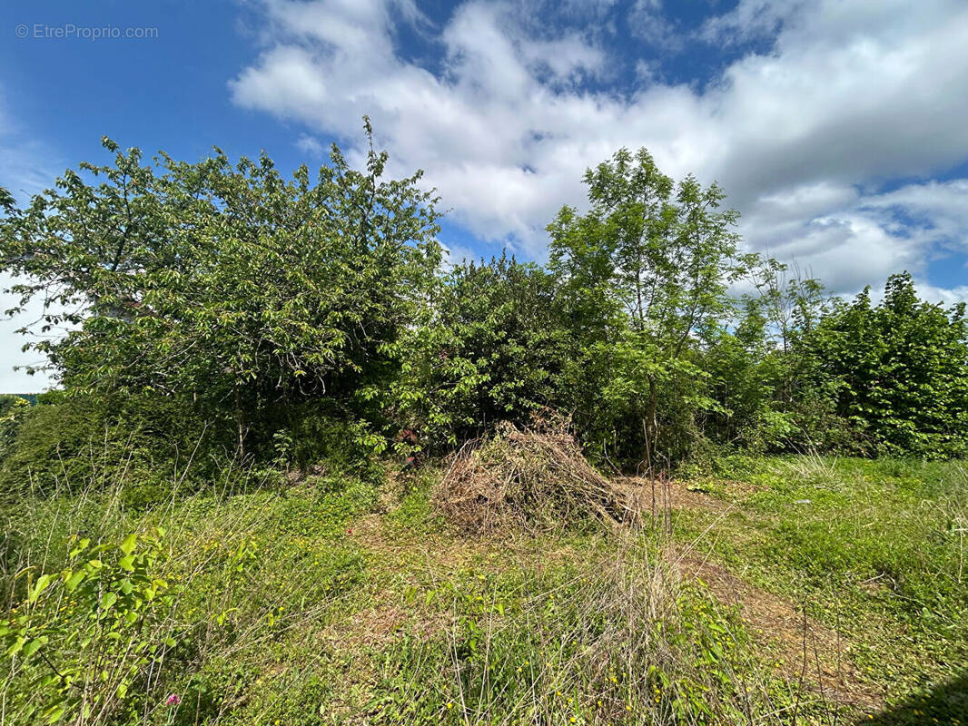 Terrain à AMBRIERES