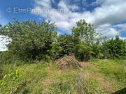 Terrain à AMBRIERES