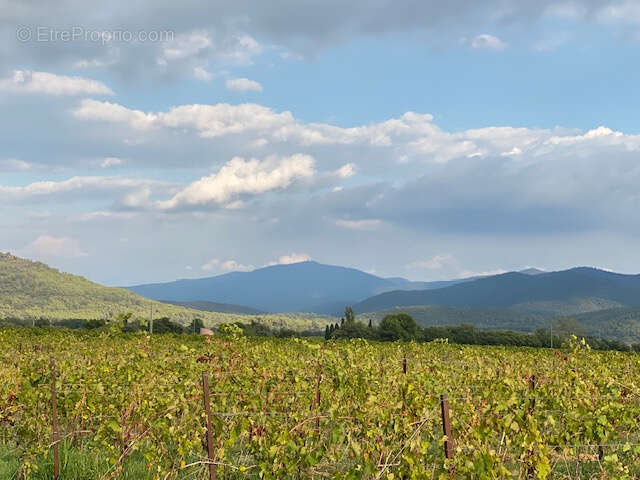 Terrain à PUGET-VILLE