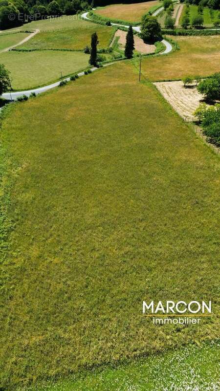 Maison rénovée avec grange attenante, vue panoramique sur 8649 m² de terrain - photo 41