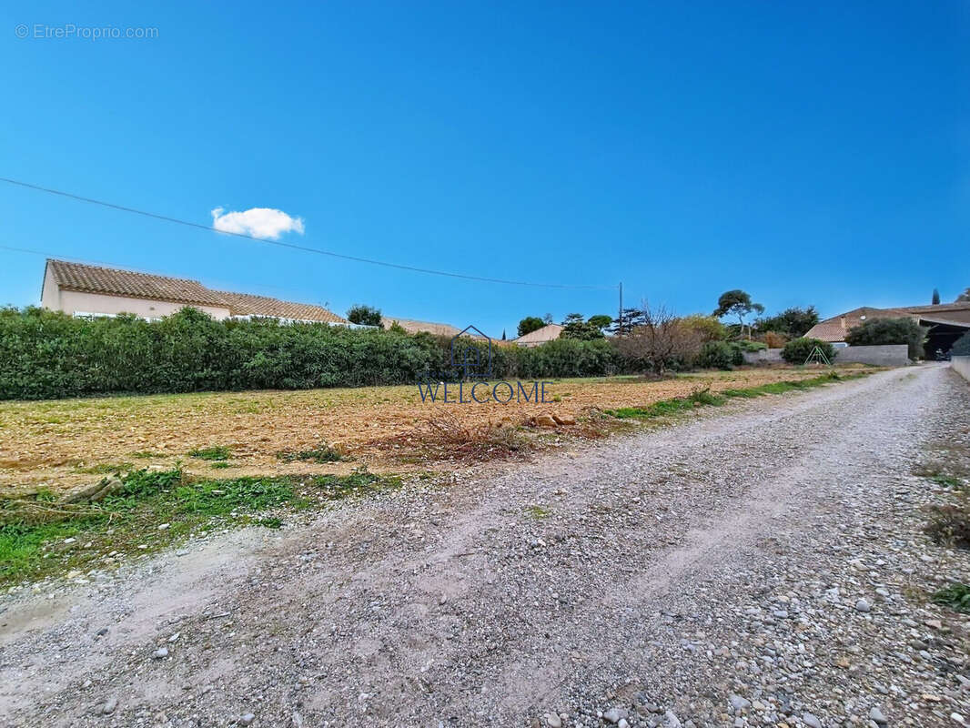 Terrain à SAINT-ANDRE-DE-SANGONIS