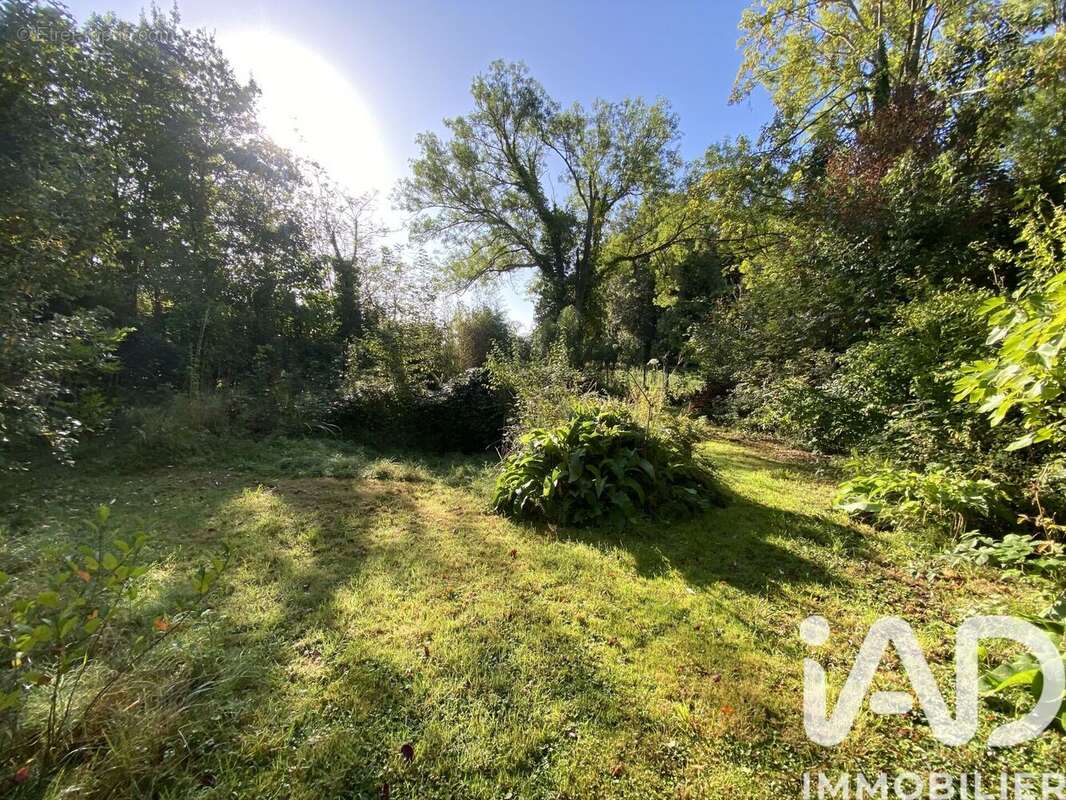 Photo 7 - Maison à SAINT-FARGEAU-PONTHIERRY