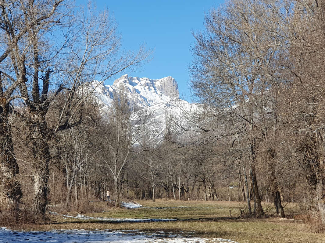 Maison à LA FREISSINOUSE