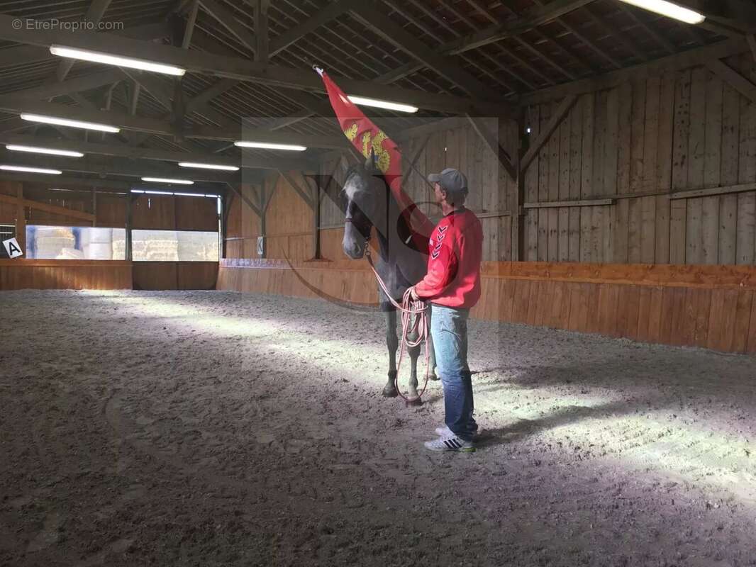 Maison à FORGES-LES-EAUX