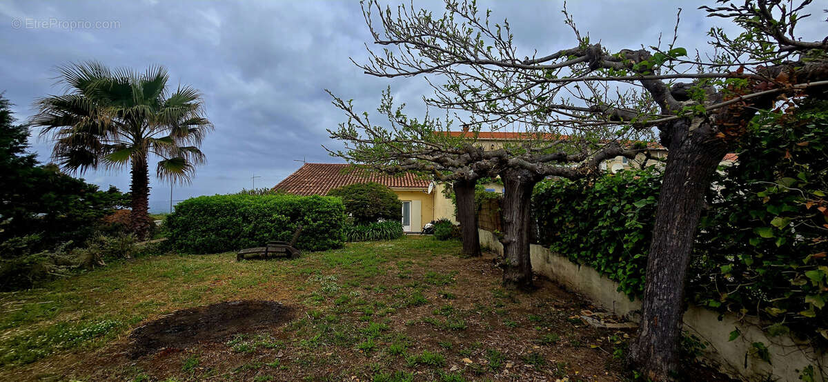 Maison à OLMETO