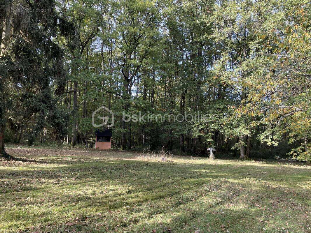 Maison à VILLETHIERRY