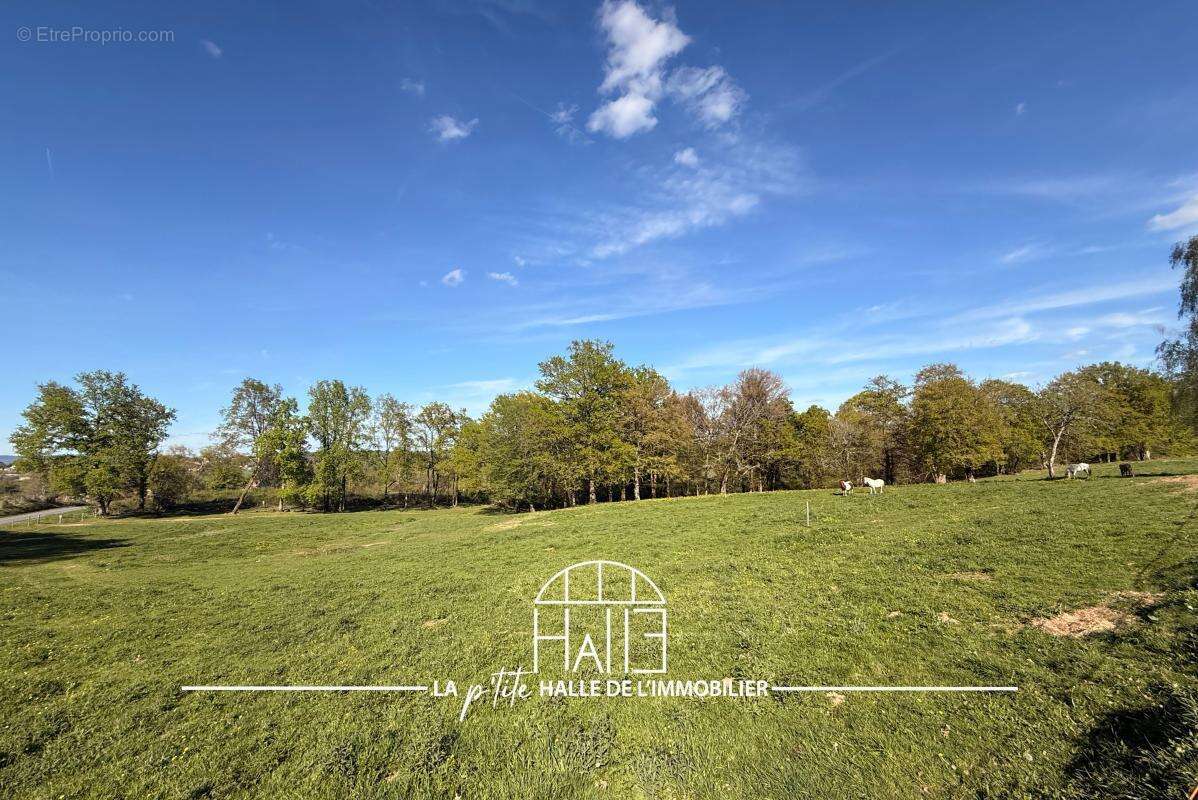 Terrain à SAINT-JUST-LE-MARTEL