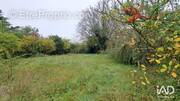 Photo 1 - Terrain à BREUILLET