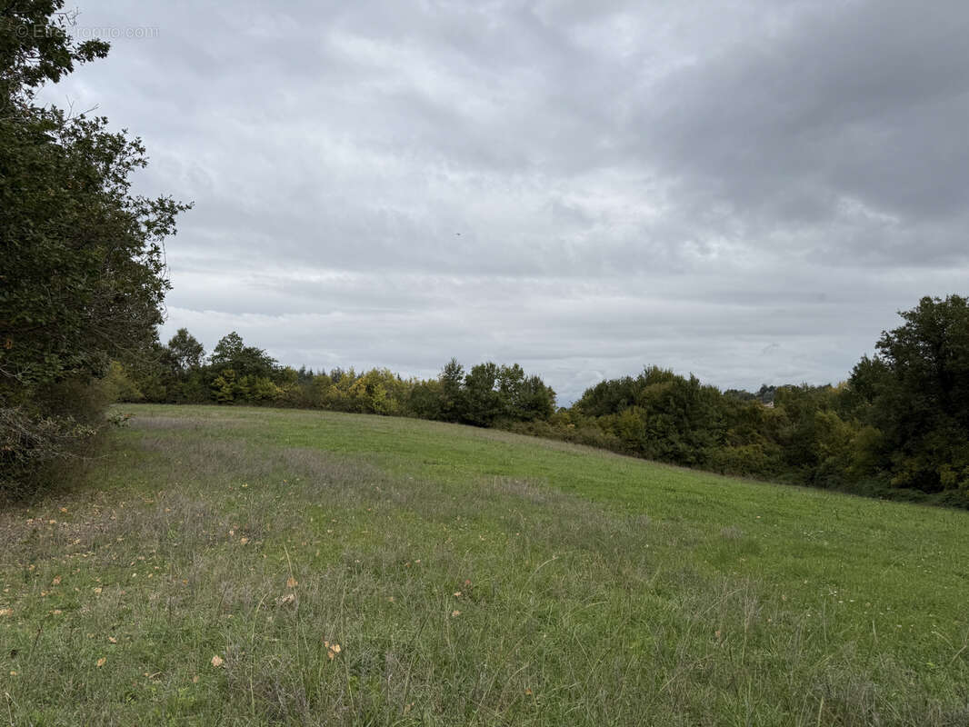 Terrain à MARIGNAC-LASPEYRES