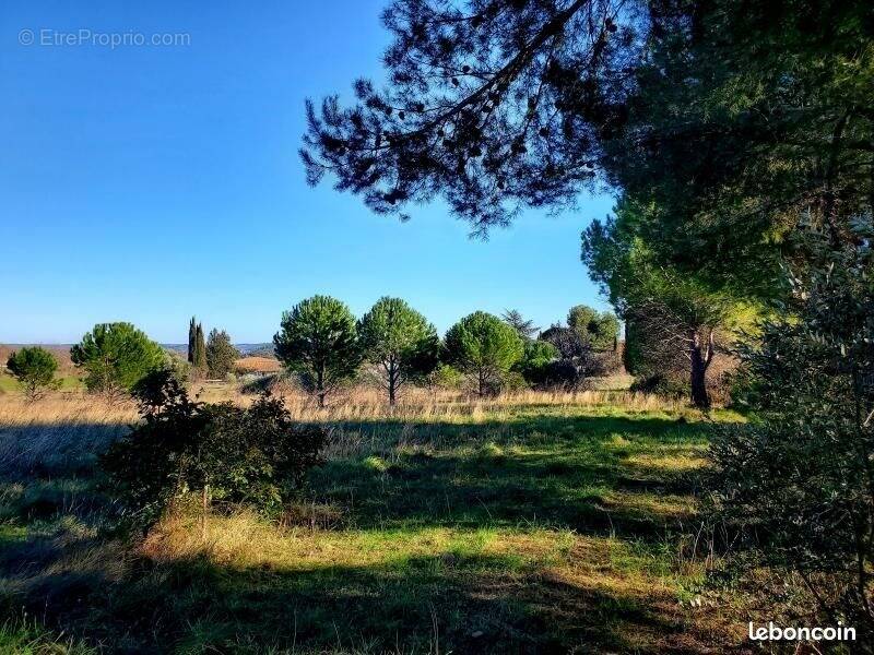 Terrain à ALIGNAN-DU-VENT
