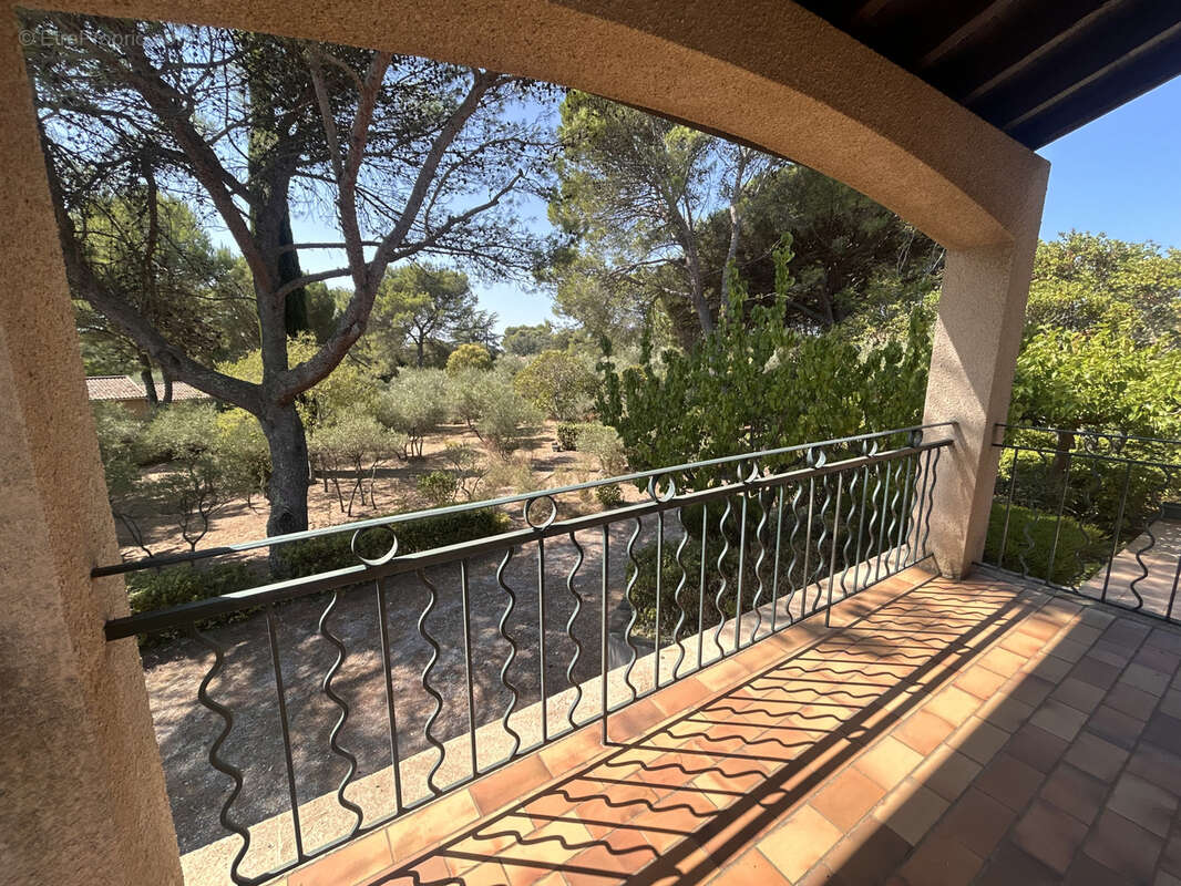 Exclusivite hauts de nimes maison 150m2 terrain 3062m2 arbore garage en sous sol - photo 7