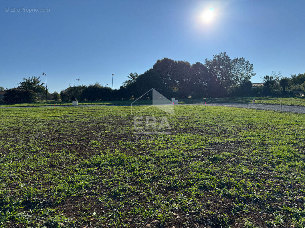 Terrain à CHAURAY