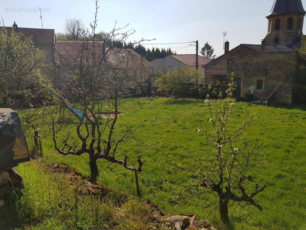 Terrain à SAINT-JULIEN-LES-GORZE