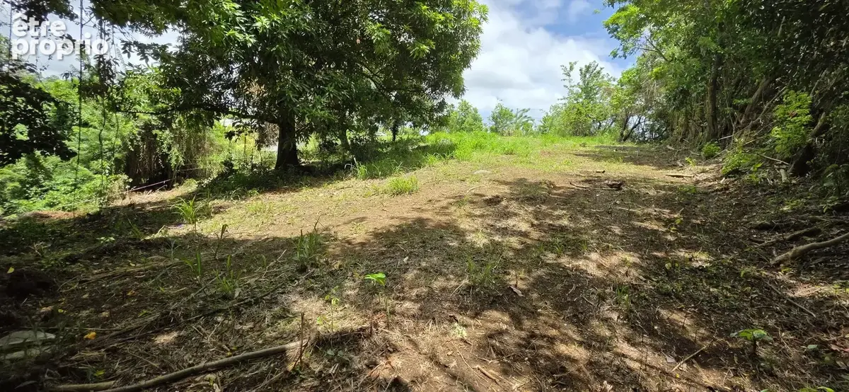 Terrain 1 485 m² à vendre à Le Lamentin (97232) - photo 5