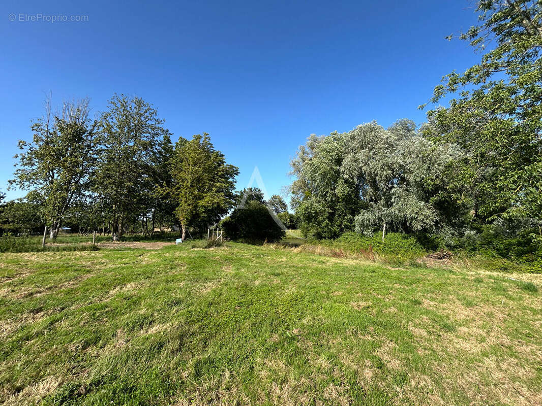 Terrain Constructible  non viabilisé avec étang Prée D'Anjou 6772 m² - photo 4