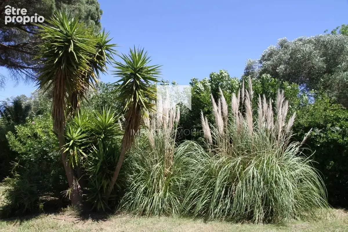 Hyères – aygade – à 6 minutes à pied de la plage - photo 17