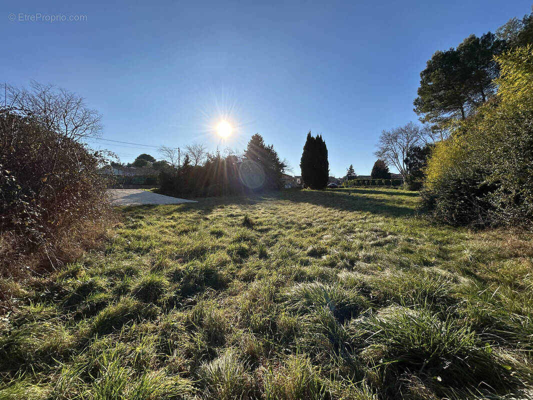 Terrain à SOUVIGNARGUES