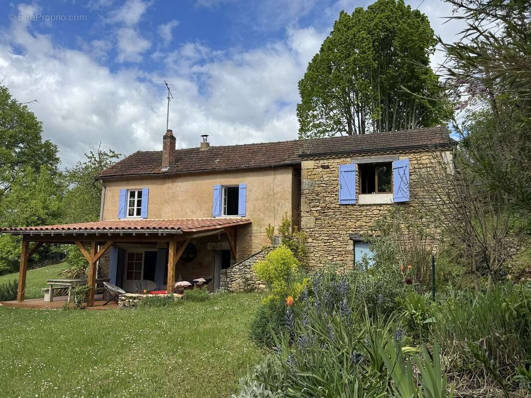 IMG2533 - Maison à LE BUISSON-DE-CADOUIN