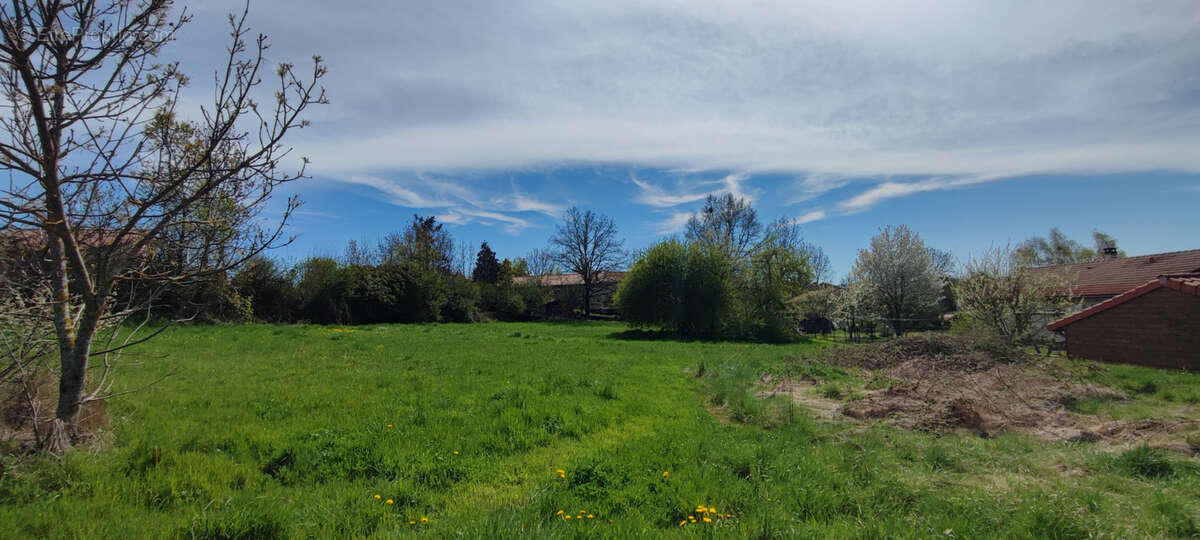 Terrain à CHAVANIAC-LAFAYETTE