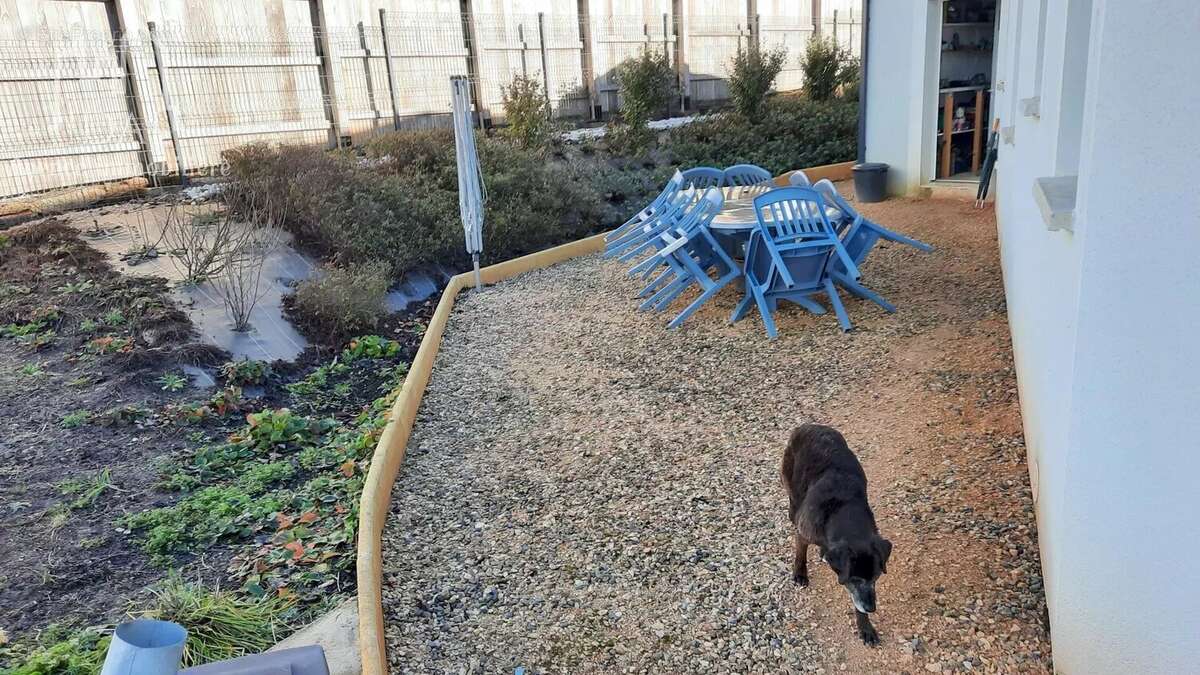 Maison à SAINT-LAURENT-D'OLT