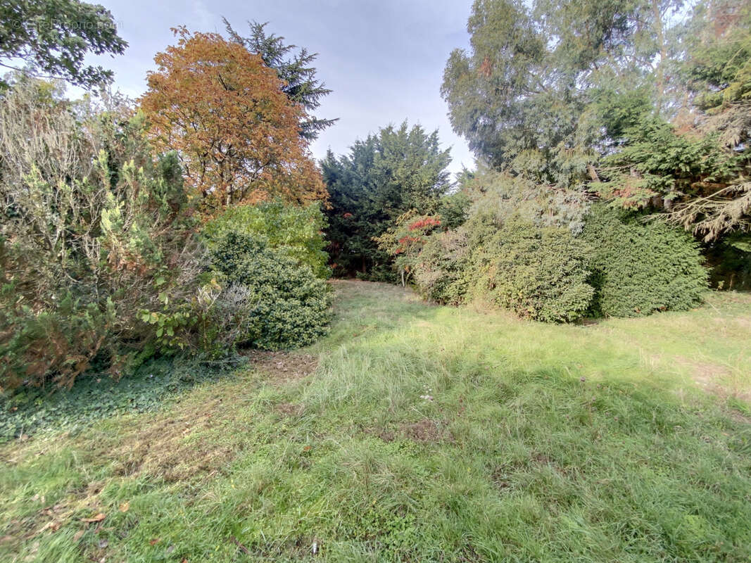 Terrain à SAVENNIERES