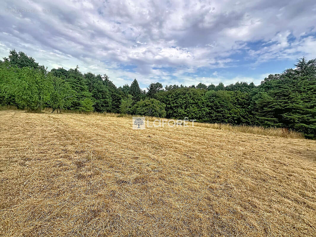logis dépendances parcSecondigny 10 pièce(s) m2 - photo 18