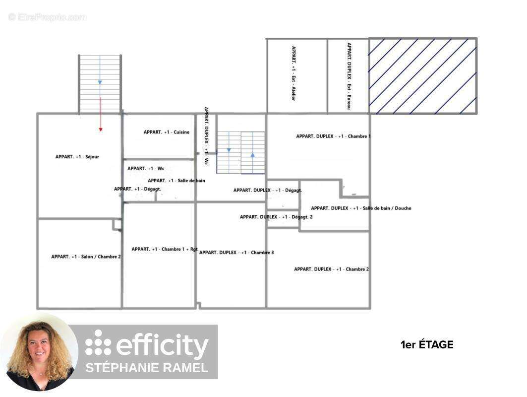 Maison 233 m² à Marlioz  - photo 26