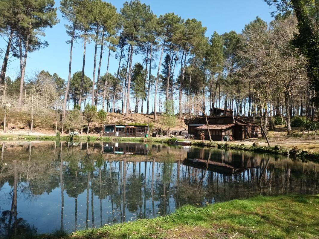 Maison à VILLANDRAUT