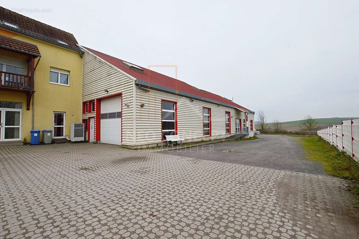 Commerce à BETSCHDORF