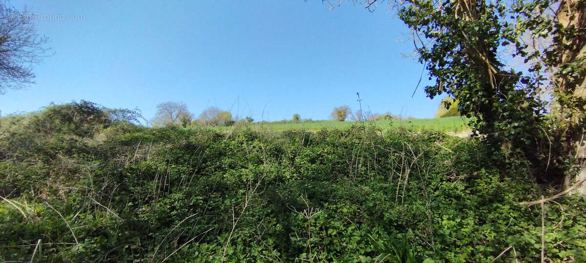 Terrain à MARTIZAY