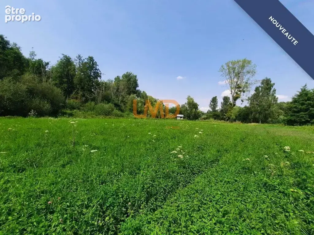 terrain bord de loir - Saint Hilaire La Gravelle - photo 3